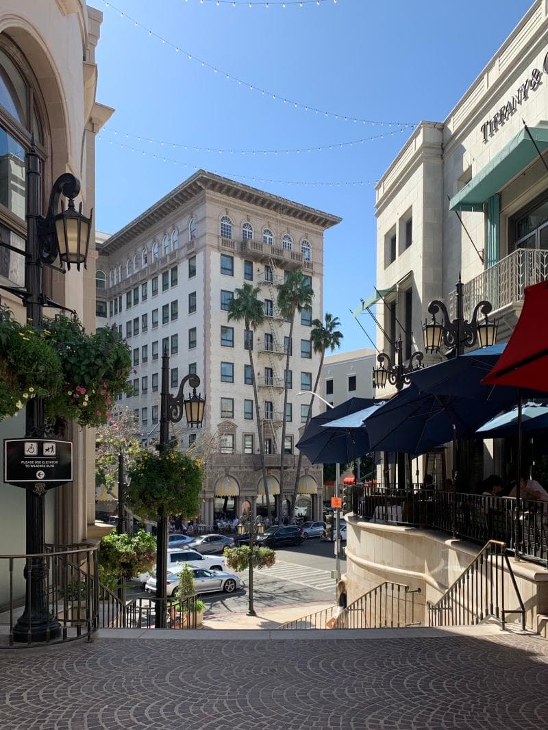 Palm-lined Streets