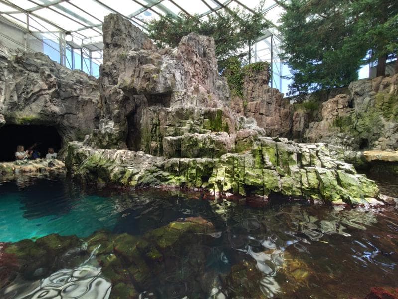 Penguin Area