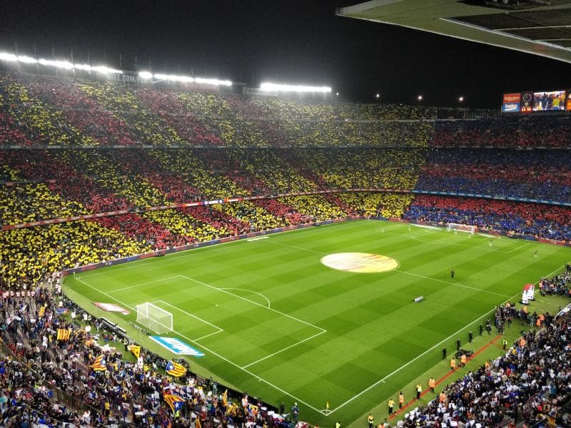 Pitchside Area