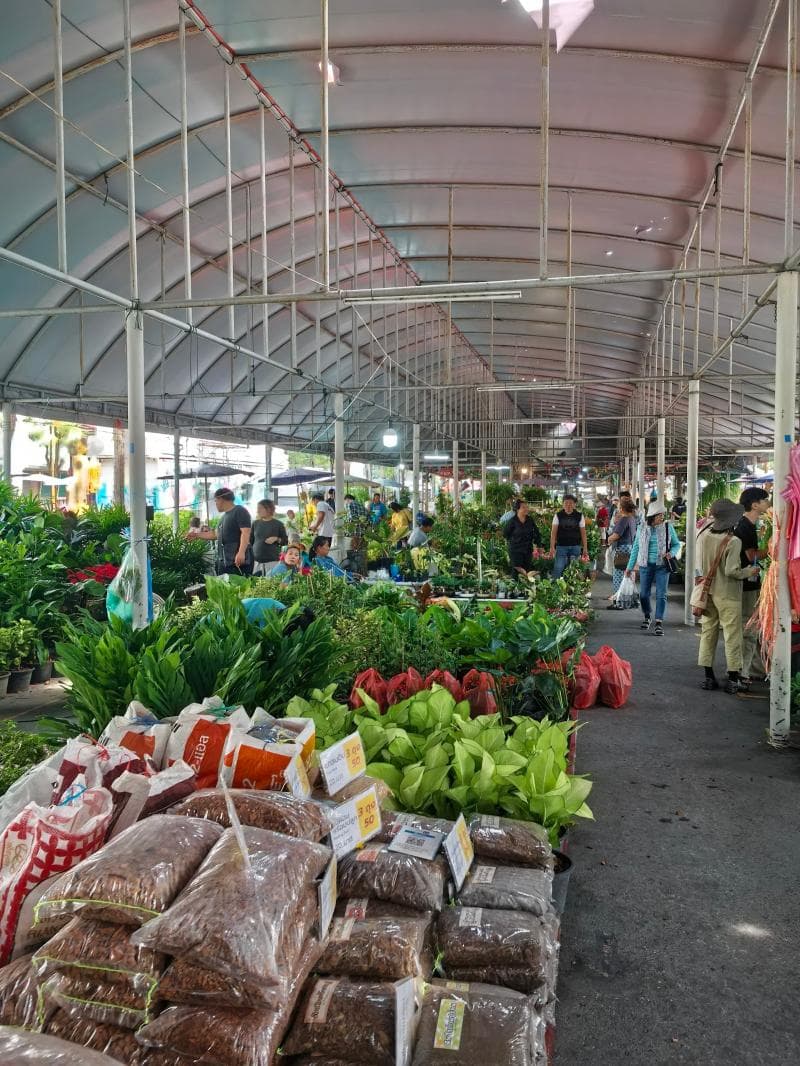 Plant & Garden Section