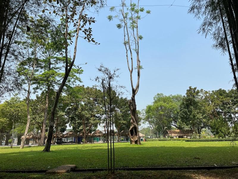 Playground Area