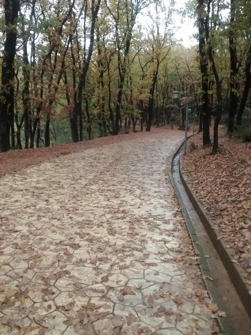 Playground Areas