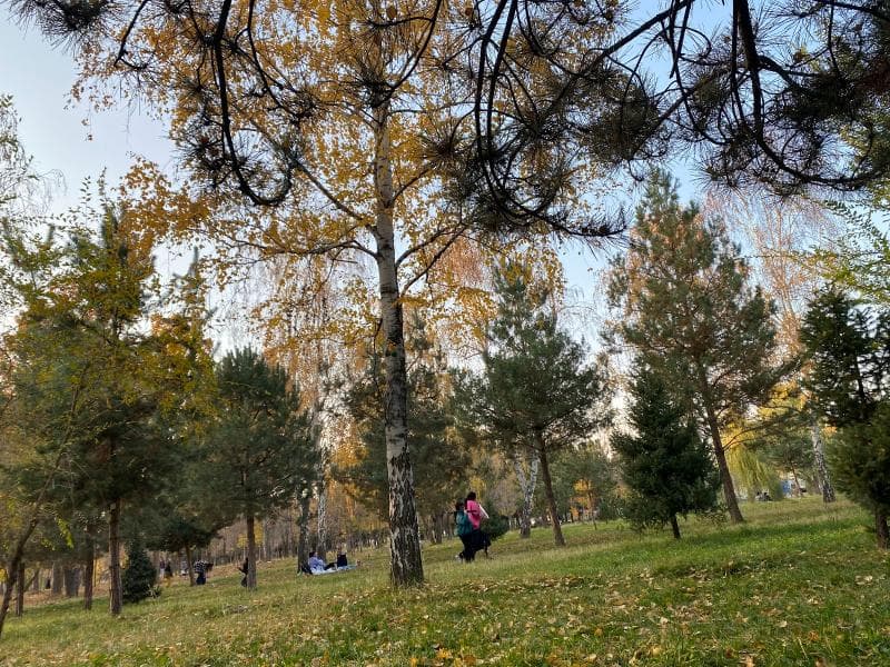 Public Benches