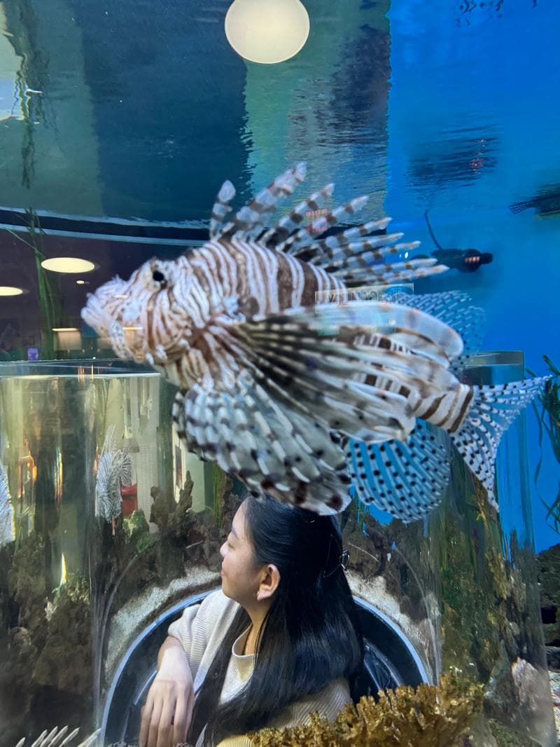 Rainbow Reef
