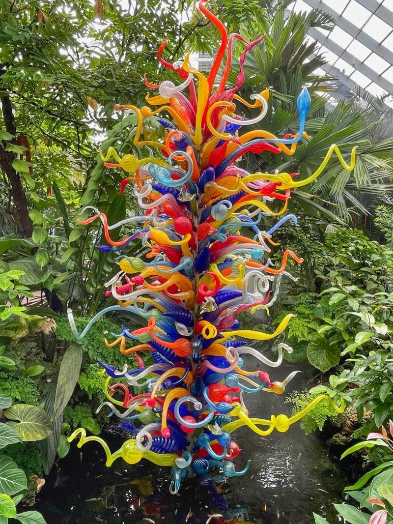 Rainforest Exhibit