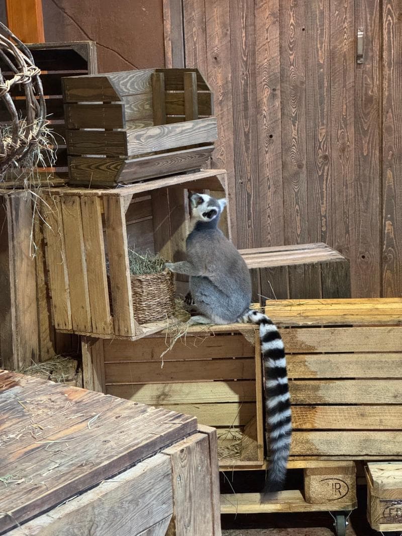 Reptile House