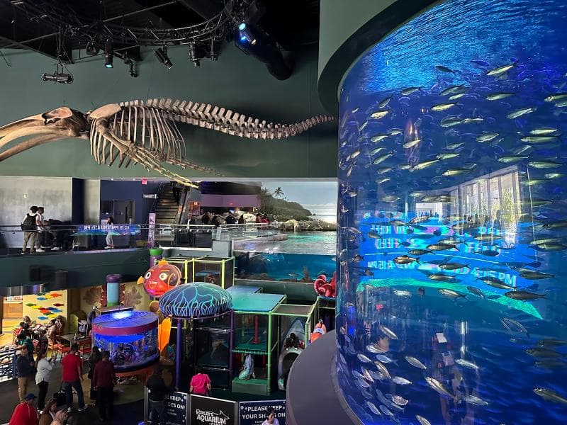 Ripley's Aquarium Of Canada