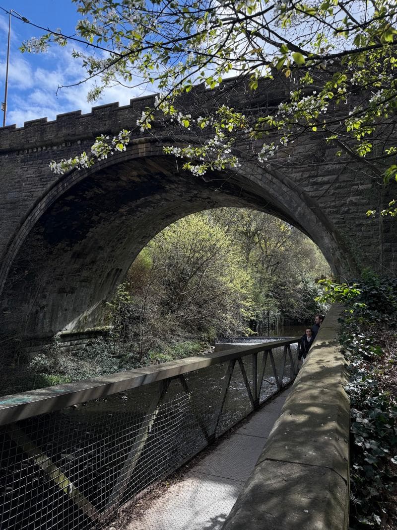 Riverside Paths
