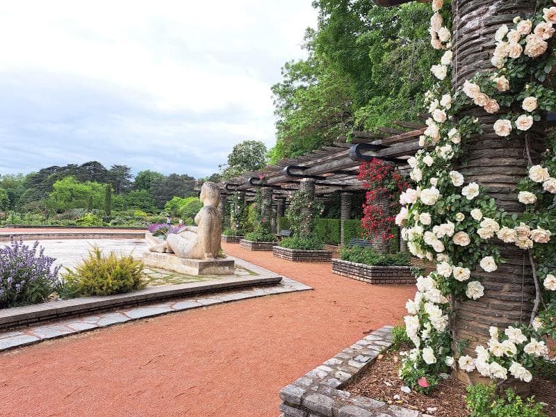 Rose Garden