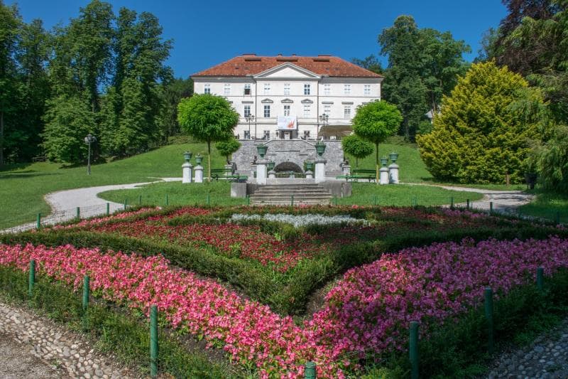 Rose Garden