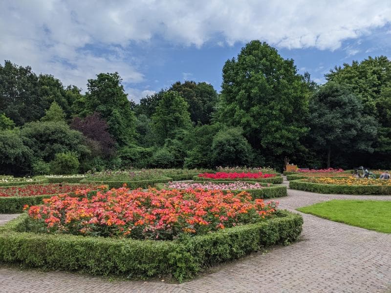 Rose Garden