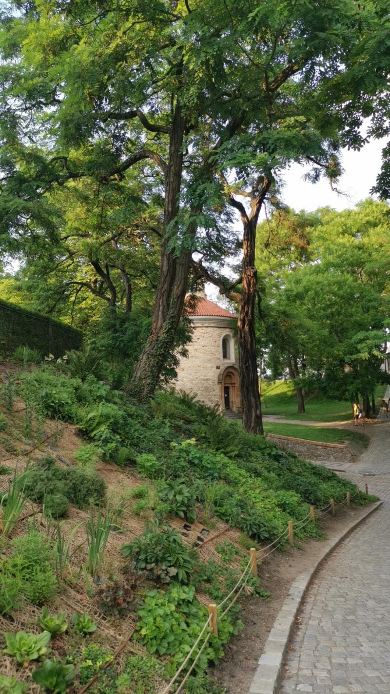 Rotunda of St. Martin