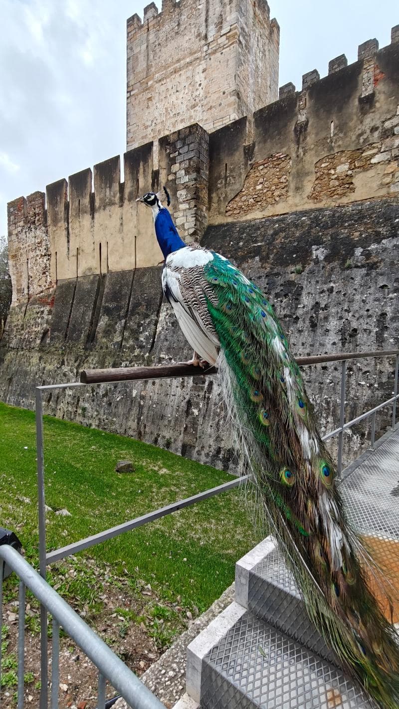 São Jorge Castle