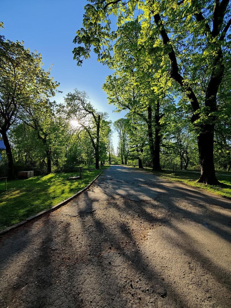 Scenic Trails