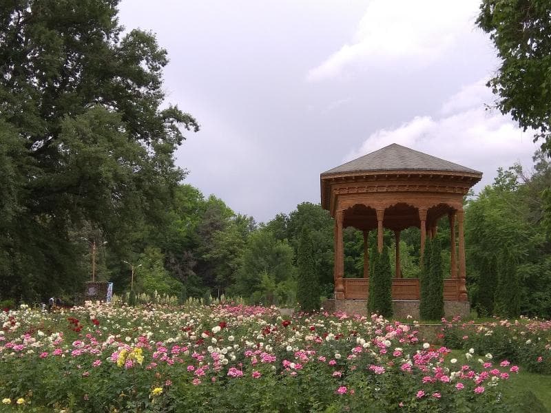 Shaded Picnic Areas