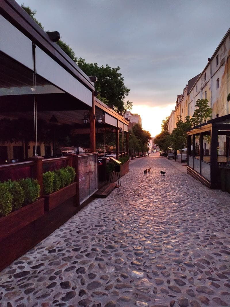 Skadarska Street