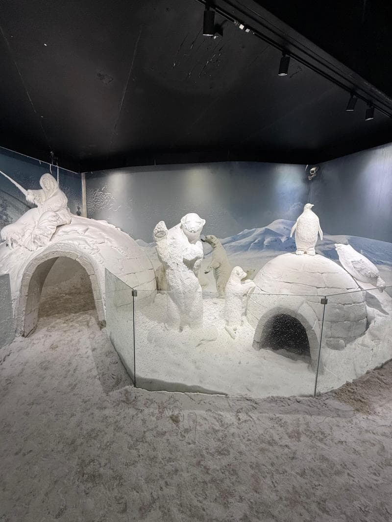 Snow World & Ice Museum