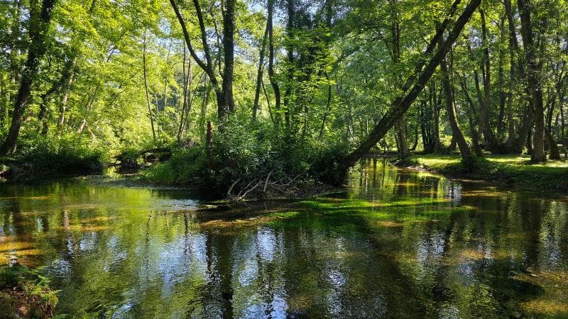 Spring Viewpoints