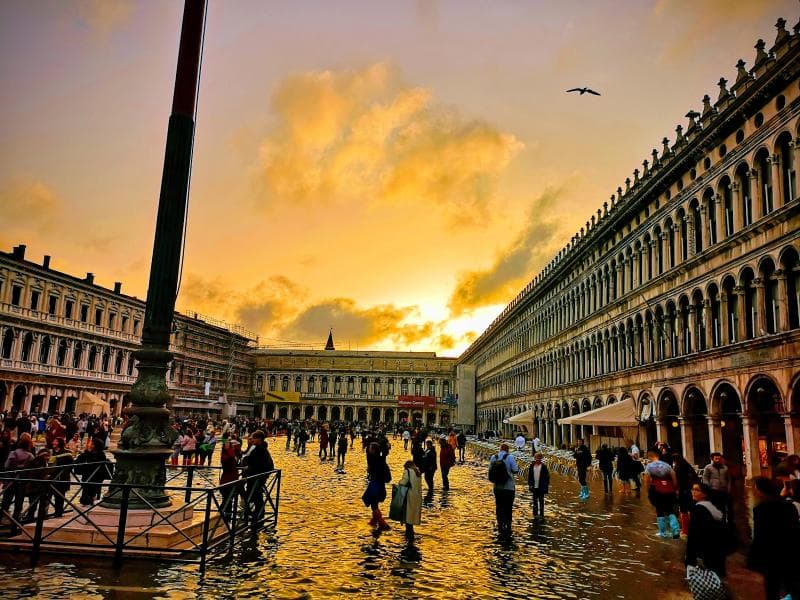 St. Mark's Square