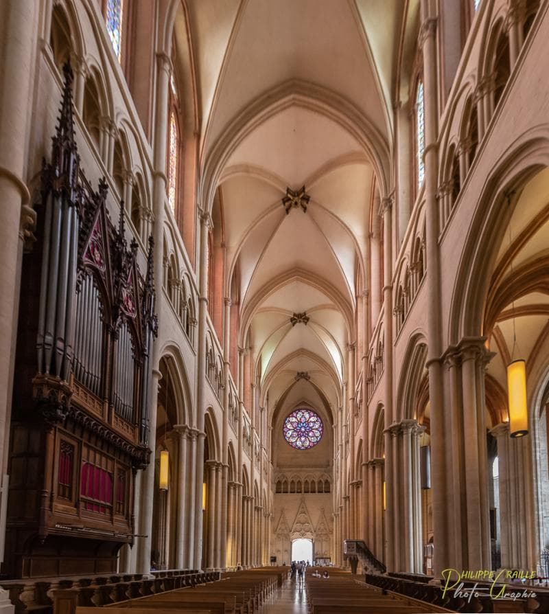 Stained Glass Windows