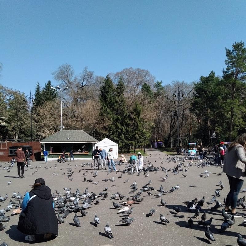 Statues