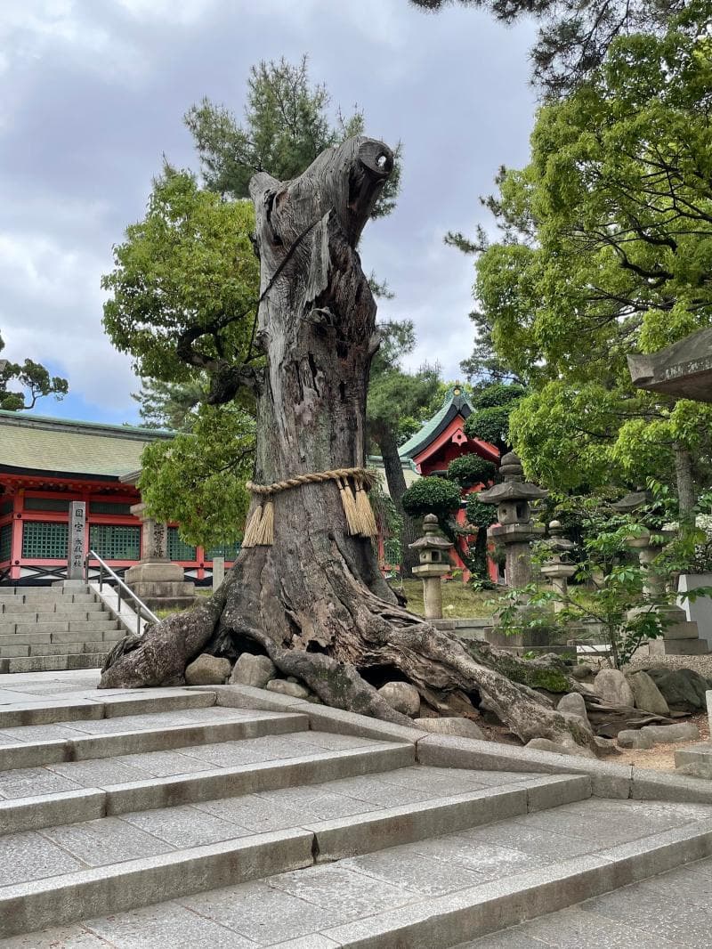 Sumiyoshi Taisha