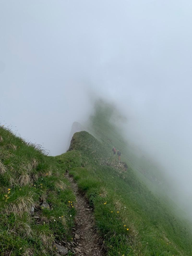 Summit Trails