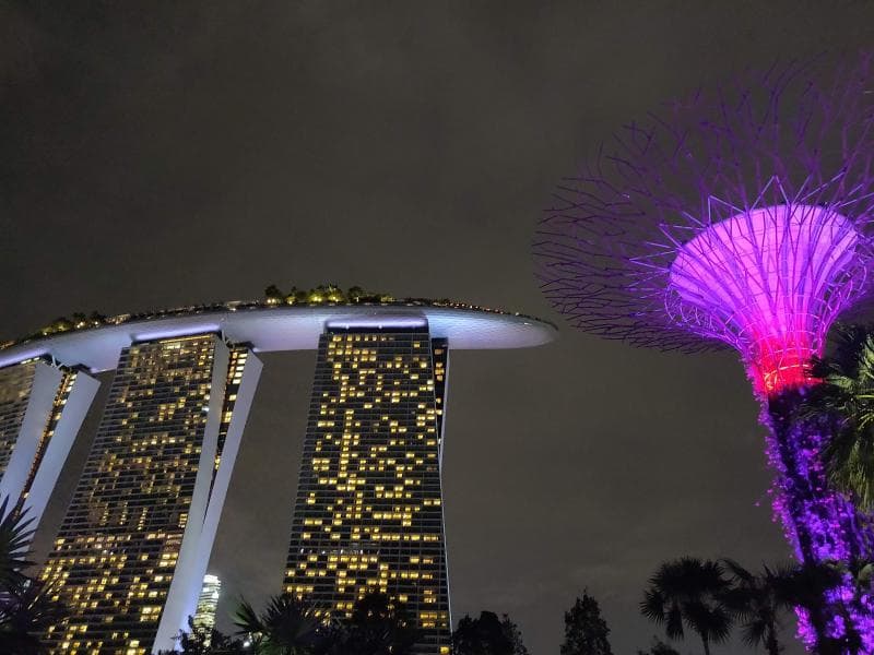 Supertree Grove