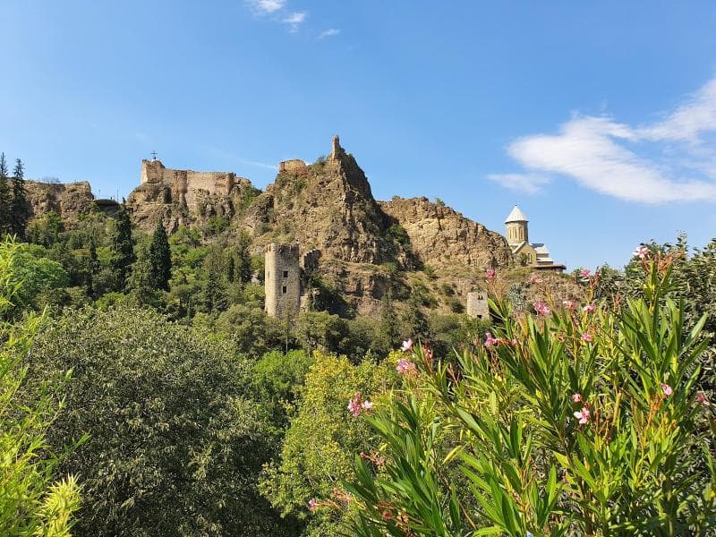 Tbilisi Botanical Garden