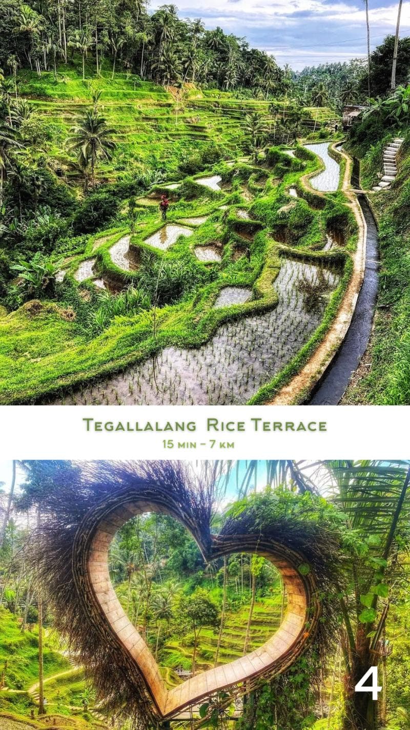 Tegallalang Rice Terrace