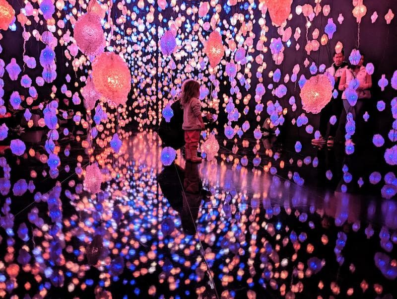 Temporary Exhibits