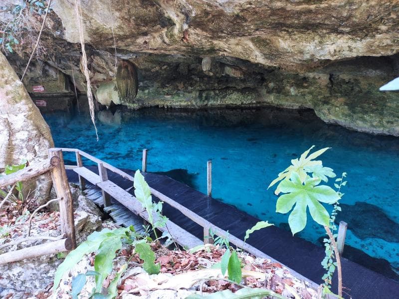 The Bat Cave