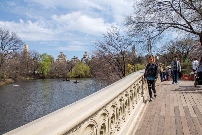 The Bow Bridge