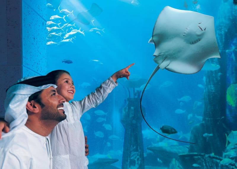 Thematic Aquarium Chambers