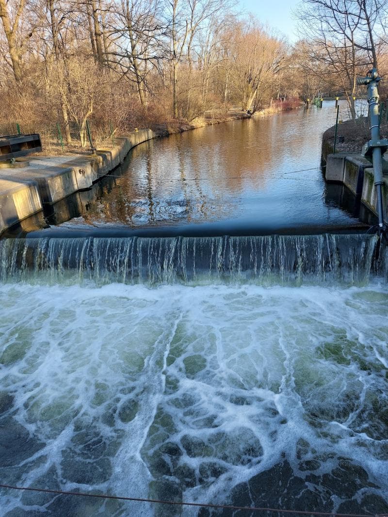 Tiergarten