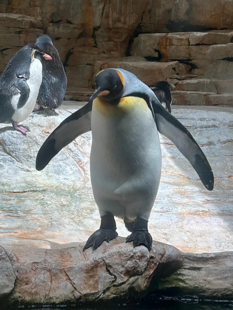Tiergarten Zoo