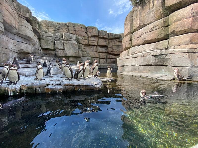 Tierpark Hagenbeck