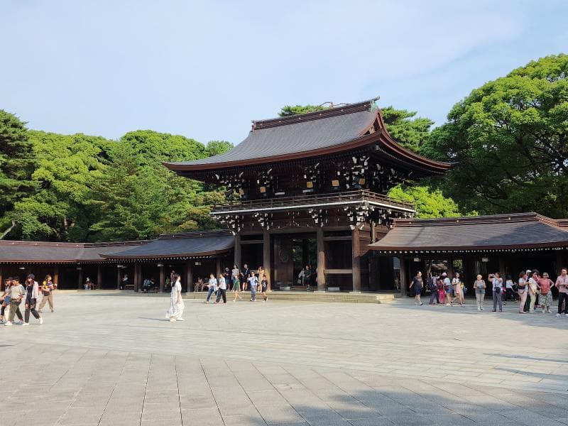 Torii Gates