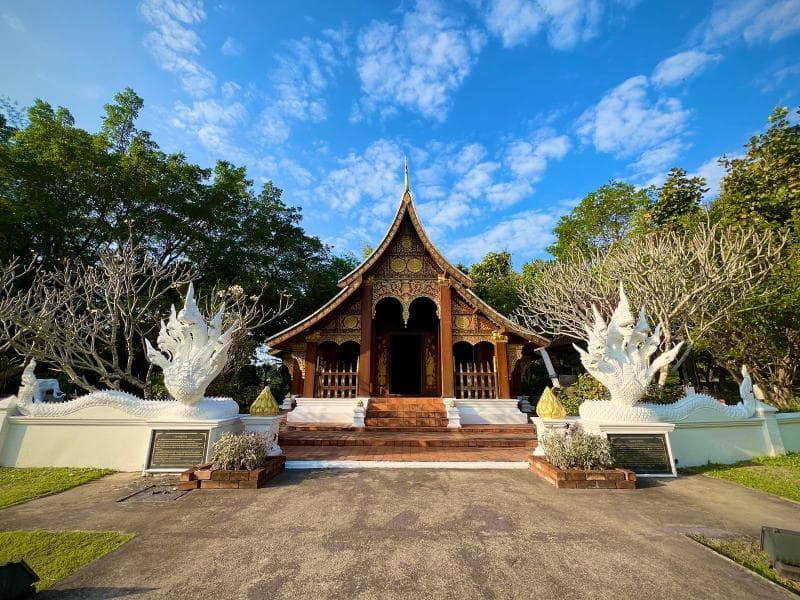 Tropical Garden