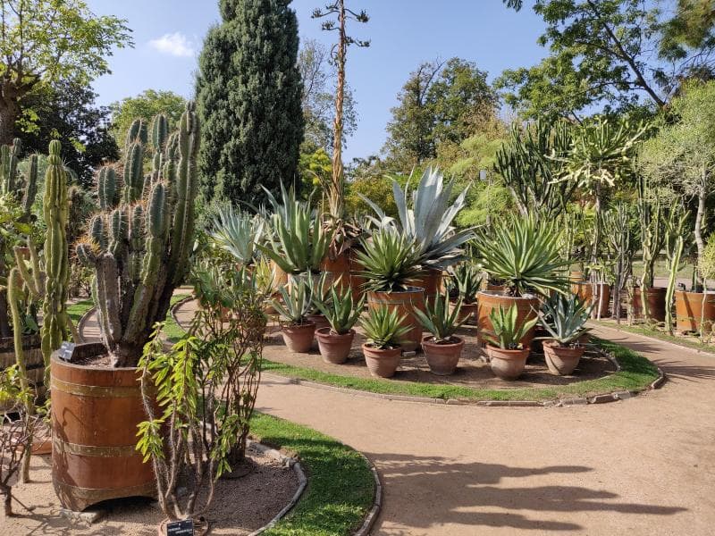 Tropical Greenhouses