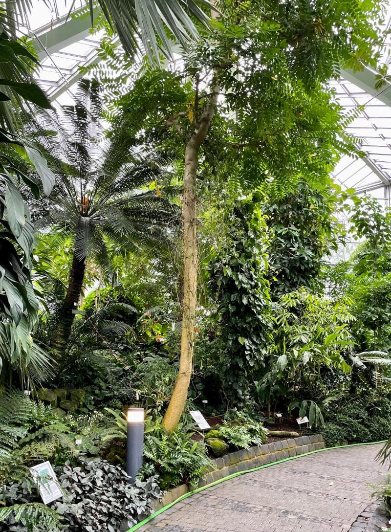 Tropicarium