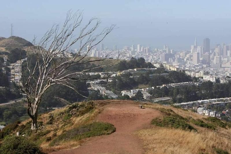 Twin Peaks