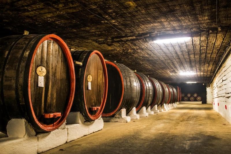 Underground Wine Tunnels