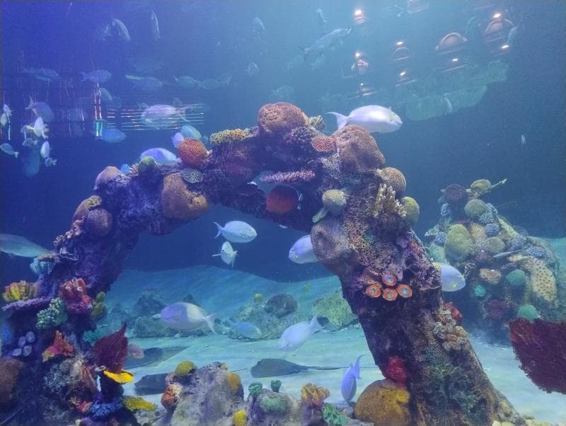Underwater Tunnel