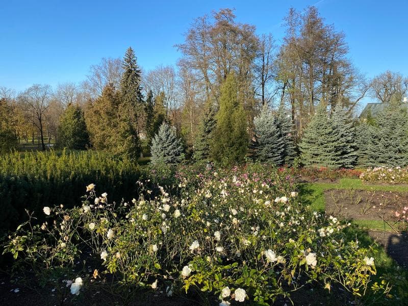 Upper Flower Garden