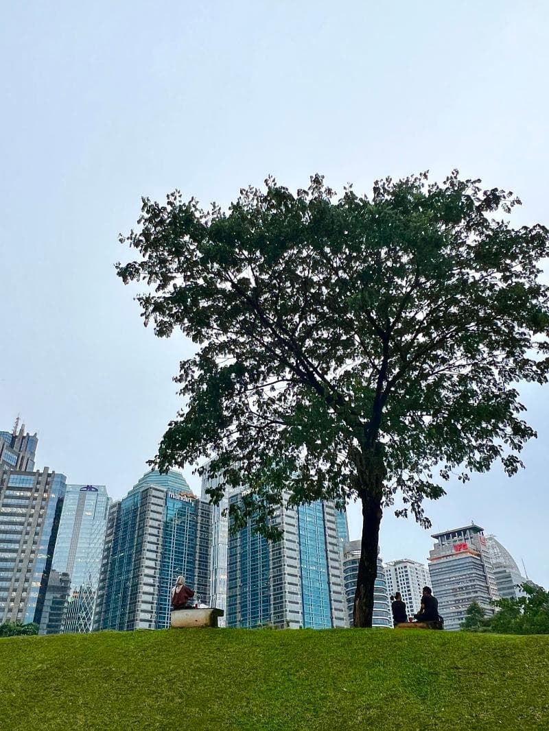 Urban Forest