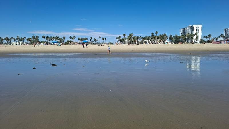 Venice Boardwalk