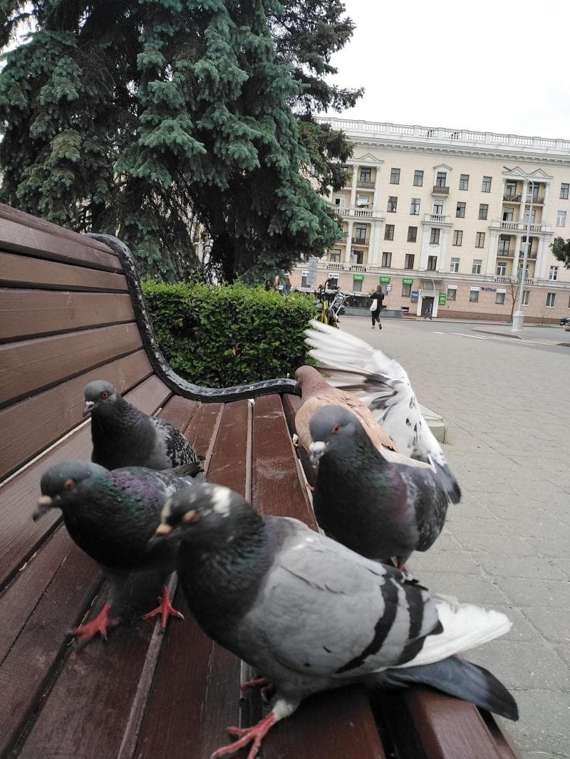 Victory Square