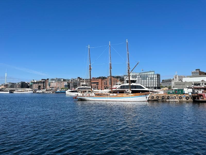 Viking Ship Area