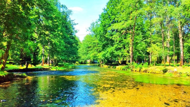 Vrelo Bosne